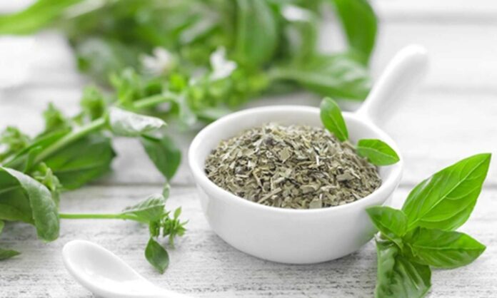 Fesleğen Nedir Ve Fesleğenin Faydaları Nelerdir Doğal Aromasıyla Sağlığa Katkı Sunan Bitki Akdeniz mutfağının vazgeçilmez aromatik bitkilerinden biri olan Fesleğen, hem hoş kokusu hem de sağlık üzerindeki potansiyel etkileriyle dikkat çekmektedir. Taze ya da kuru olarak tüketilebilen bu bitki, özellikle yaz aylarında sofralarda sıkça yer alır. Sadece lezzet verici bir baharat değil, aynı zamanda geleneksel tıpta da kullanılan değerli bir bitkidir. Peki Fesleğen nedir ve neden bu kadar yaygın şekilde tercih edilmektedir? Konulu bir haber görseli.