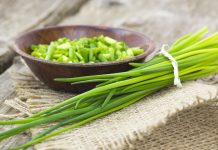 Frenk soğanı, mutfaklarda yaygın olarak kullanılan aromatik bir bitkidir ve özellikle yemeklere lezzet katmak amacıyla tercih edilir. Soğangiller familyasından gelen bu bitki, hem taze hem de kurutulmuş yapraklarıyla salatalardan çorbalara, soslardan garnitürlere kadar birçok tarifte kullanılabilir. Frenk soğanı, hoş aroması ve sağlık açısından sunduğu faydalar sayesinde sadece mutfakların değil, aynı zamanda doğal şifa arayanların da ilgisini çeker. Konulu bir haber görseli.