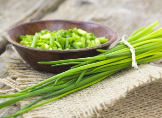 Frenk soğanı, mutfaklarda yaygın olarak kullanılan aromatik bir bitkidir ve özellikle yemeklere lezzet katmak amacıyla tercih edilir. Soğangiller familyasından gelen bu bitki, hem taze hem de kurutulmuş yapraklarıyla salatalardan çorbalara, soslardan garnitürlere kadar birçok tarifte kullanılabilir. Frenk soğanı, hoş aroması ve sağlık açısından sunduğu faydalar sayesinde sadece mutfakların değil, aynı zamanda doğal şifa arayanların da ilgisini çeker. Konulu bir haber görseli.