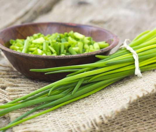 Frenk soğanı, mutfaklarda yaygın olarak kullanılan aromatik bir bitkidir ve özellikle yemeklere lezzet katmak amacıyla tercih edilir. Soğangiller familyasından gelen bu bitki, hem taze hem de kurutulmuş yapraklarıyla salatalardan çorbalara, soslardan garnitürlere kadar birçok tarifte kullanılabilir. Frenk soğanı, hoş aroması ve sağlık açısından sunduğu faydalar sayesinde sadece mutfakların değil, aynı zamanda doğal şifa arayanların da ilgisini çeker. Konulu bir haber görseli.
