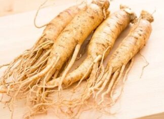 Uzak Doğu tıbbının en bilinen bitkilerinden biri olan Ginseng, yüzyıllardır hem fiziksel hem de zihinsel performansı desteklemek amacıyla kullanılmaktadır. Özellikle Çin ve Kore kültüründe önemli bir yere sahip olan bu bitki, günümüzde dünya genelinde popülerliğini artırmıştır. Bitkisel destek arayışında olan pek çok kişi, Ginseng nedir ve hangi alanlarda kullanılır sorusuna yanıt aramaktadır. Konulu bir haber görseli.