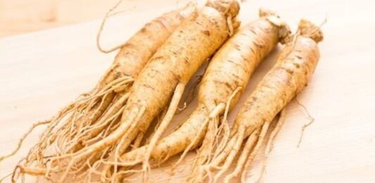 Ginseng Nedir? Ginseng’in Faydaları Nelerdir? Uzak Doğu tıbbının en bilinen bitkilerinden biri olan Ginseng, yüzyıllardır hem fiziksel hem de zihinsel performansı desteklemek amacıyla kullanılmaktadır. Özellikle Çin ve Kore kültüründe önemli bir yere sahip olan bu bitki, günümüzde dünya genelinde popülerliğini artırmıştır. Bitkisel destek arayışında olan pek çok kişi, Ginseng nedir ve hangi alanlarda kullanılır sorusuna yanıt aramaktadır. Konulu bir haber görseli.