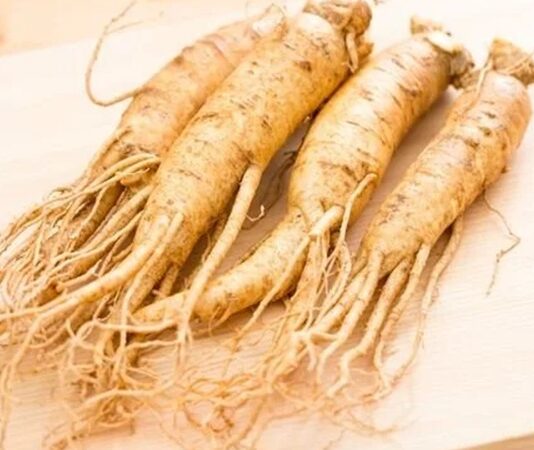 Uzak Doğu tıbbının en bilinen bitkilerinden biri olan Ginseng, yüzyıllardır hem fiziksel hem de zihinsel performansı desteklemek amacıyla kullanılmaktadır. Özellikle Çin ve Kore kültüründe önemli bir yere sahip olan bu bitki, günümüzde dünya genelinde popülerliğini artırmıştır. Bitkisel destek arayışında olan pek çok kişi, Ginseng nedir ve hangi alanlarda kullanılır sorusuna yanıt aramaktadır. Konulu bir haber görseli.