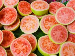 Guava Nedir? Guava’nın Faydaları Nelerdir? Tropikal meyveler arasında son yıllarda adından sıkça söz ettiren Guava, hem aroması hem de besin değeri açısından dikkat çeken bir meyvedir. Anavatanı Orta ve Güney Amerika olan bu özel meyve, günümüzde Asya’dan Afrika’ya kadar pek çok bölgede yetiştirilmektedir. Bilimsel adı Psidium guajava olan guava, mersingiller familyasına aittir ve sıcak iklimlerde verimli şekilde yetişir. Türkiye’de henüz çok yaygın olmasa da özellikle sağlıklı beslenme trendlerinin artmasıyla birlikte guava meyvesi daha fazla ilgi görmeye başlamıştır.