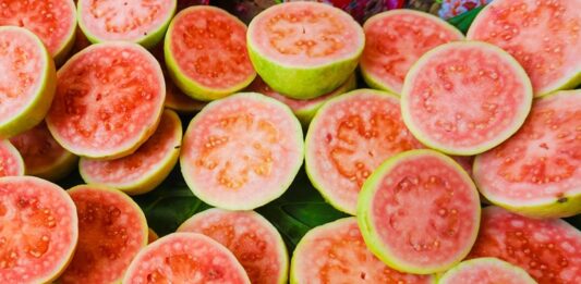 Guava Nedir? Guava’nın Faydaları Nelerdir? Tropikal meyveler arasında son yıllarda adından sıkça söz ettiren Guava, hem aroması hem de besin değeri açısından dikkat çeken bir meyvedir. Anavatanı Orta ve Güney Amerika olan bu özel meyve, günümüzde Asya’dan Afrika’ya kadar pek çok bölgede yetiştirilmektedir. Bilimsel adı Psidium guajava olan guava, mersingiller familyasına aittir ve sıcak iklimlerde verimli şekilde yetişir. Türkiye’de henüz çok yaygın olmasa da özellikle sağlıklı beslenme trendlerinin artmasıyla birlikte guava meyvesi daha fazla ilgi görmeye başlamıştır.