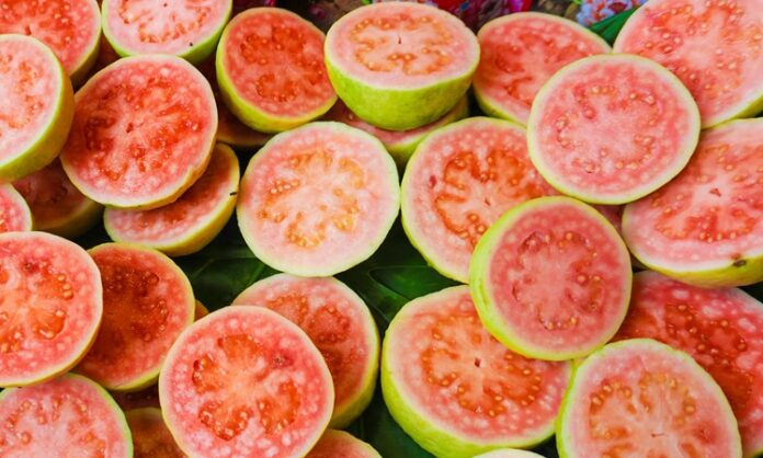 Tropikal meyveler arasında son yıllarda adından sıkça söz ettiren Guava, hem aroması hem de besin değeri açısından dikkat çeken bir meyvedir. Anavatanı Orta ve Güney Amerika olan bu özel meyve, günümüzde Asya’dan Afrika’ya kadar pek çok bölgede yetiştirilmektedir. Bilimsel adı Psidium guajava olan guava, mersingiller familyasına aittir ve sıcak iklimlerde verimli şekilde yetişir. Türkiye’de henüz çok yaygın olmasa da özellikle sağlıklı beslenme trendlerinin artmasıyla birlikte guava meyvesi daha fazla ilgi görmeye başlamıştır.