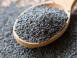 Haşhaş, yüzyıllardır hem besin hem de tarımsal ürün olarak değerlendirilen köklü bir bitkidir. Bilimsel adı Papaver somniferum olan bu bitki, özellikle tohumları sayesinde mutfak kültüründe önemli bir yere sahiptir. Anadolu’da uzun yıllardır yetiştirilen haşhaş, kontrollü üretim kapsamında tarımı yapılan ve ekonomik değeri yüksek bir üründür. Türkiye’de belirli bölgelerde devlet denetiminde ekimi gerçekleştirilmektedir. Konulu bir haber görseli.