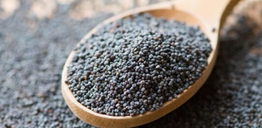 Haşhaş Nedir? Haşhaş’ın Faydaları Nelerdir? Haşhaş, yüzyıllardır hem besin hem de tarımsal ürün olarak değerlendirilen köklü bir bitkidir. Bilimsel adı Papaver somniferum olan bu bitki, özellikle tohumları sayesinde mutfak kültüründe önemli bir yere sahiptir. Anadolu’da uzun yıllardır yetiştirilen haşhaş, kontrollü üretim kapsamında tarımı yapılan ve ekonomik değeri yüksek bir üründür. Türkiye’de belirli bölgelerde devlet denetiminde ekimi gerçekleştirilmektedir. Konulu bir haber görseli.