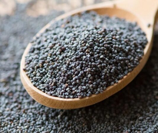 Haşhaş, yüzyıllardır hem besin hem de tarımsal ürün olarak değerlendirilen köklü bir bitkidir. Bilimsel adı Papaver somniferum olan bu bitki, özellikle tohumları sayesinde mutfak kültüründe önemli bir yere sahiptir. Anadolu’da uzun yıllardır yetiştirilen haşhaş, kontrollü üretim kapsamında tarımı yapılan ve ekonomik değeri yüksek bir üründür. Türkiye’de belirli bölgelerde devlet denetiminde ekimi gerçekleştirilmektedir. Konulu bir haber görseli.