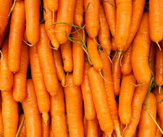 Toprak altında yetişen ve parlak turuncu rengiyle dikkat çeken havuç, hem çiğ hem de pişmiş olarak tüketilebilen besleyici bir kök sebzedir. Salatalardan çorbalara, zeytinyağlı yemeklerden tatlılara kadar geniş bir kullanım alanına sahip olan havuç, hafif tatlı aroması sayesinde farklı tariflere uyum sağlar. Özellikle sağlıklı beslenme listelerinde sıkça yer alması, içerdiği zengin vitamin ve mineral değerlerinden kaynaklanır. Konulu bir haber görseli.