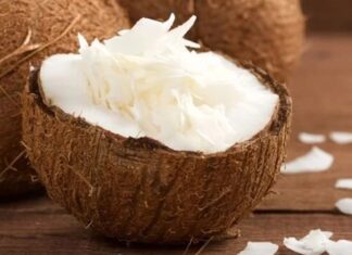 Tropikal iklimlerin en dikkat çekici meyvelerinden biri olan hindistancevizi, hem besleyici içeriği hem de çok yönlü kullanım alanlarıyla öne çıkar. Sert kabuğu ve beyaz iç kısmıyla tanınan bu meyve, yalnızca taze olarak değil; yağı, sütü ve suyu ile de yaygın biçimde tüketilmektedir. Özellikle son yıllarda sağlıklı beslenme trendlerinin yükselmesiyle birlikte hindistancevizi ürünlerine olan ilgi artmıştır.