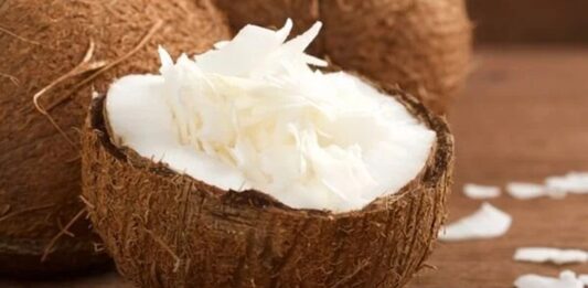 Hindistancevizi Nedir? Hindistancevizi’nin Faydaları Nelerdir? Tropikal iklimlerin en dikkat çekici meyvelerinden biri olan hindistancevizi, hem besleyici içeriği hem de çok yönlü kullanım alanlarıyla öne çıkar. Sert kabuğu ve beyaz iç kısmıyla tanınan bu meyve, yalnızca taze olarak değil; yağı, sütü ve suyu ile de yaygın biçimde tüketilmektedir. Özellikle son yıllarda sağlıklı beslenme trendlerinin yükselmesiyle birlikte hindistancevizi ürünlerine olan ilgi artmıştır.