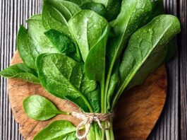 Yeşil yapraklı sebzeler arasında önemli bir yere sahip olan ıspanak, hem besleyici içeriği hem de çok yönlü kullanımıyla mutfakların vazgeçilmezlerinden biridir. Çiğ olarak salatalarda, pişirilerek yemeklerde ya da börek ve çorbalarda kullanılan ıspanak, özellikle kış aylarında daha sık tüketilir. Düşük kalorili yapısı ve yüksek besin değeri sayesinde sağlıklı beslenme programlarının önemli bir parçası haline gelmiştir. Konulu bir haber görseli.