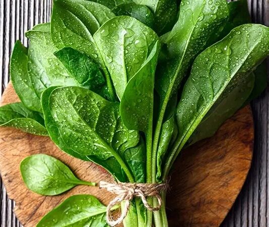 Yeşil yapraklı sebzeler arasında önemli bir yere sahip olan ıspanak, hem besleyici içeriği hem de çok yönlü kullanımıyla mutfakların vazgeçilmezlerinden biridir. Çiğ olarak salatalarda, pişirilerek yemeklerde ya da börek ve çorbalarda kullanılan ıspanak, özellikle kış aylarında daha sık tüketilir. Düşük kalorili yapısı ve yüksek besin değeri sayesinde sağlıklı beslenme programlarının önemli bir parçası haline gelmiştir. Konulu bir haber görseli.