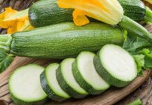 Mutfak kültüründe hem ana yemeklerde hem de tatlı tariflerinde kendine yer bulan kabak, besleyici içeriği ve hafif yapısıyla dikkat çeken bir sebzedir. Kabakgiller familyasına ait olan kabak, farklı türleriyle dünya genelinde yaygın olarak tüketilir. Yeşil kabak, bal kabağı ve sakız kabağı gibi çeşitleri bulunan bu sebze, hem lezzeti hem de sağlığa olan katkılarıyla öne çıkar. Konulu bir haber görseli.