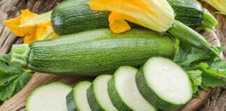 Mutfak kültüründe hem ana yemeklerde hem de tatlı tariflerinde kendine yer bulan kabak, besleyici içeriği ve hafif yapısıyla dikkat çeken bir sebzedir. Kabakgiller familyasına ait olan kabak, farklı türleriyle dünya genelinde yaygın olarak tüketilir. Yeşil kabak, bal kabağı ve sakız kabağı gibi çeşitleri bulunan bu sebze, hem lezzeti hem de sağlığa olan katkılarıyla öne çıkar. Konulu bir haber görseli.