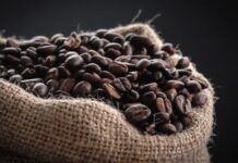 Dünyada en çok tüketilen içeceklerden biri olan Kahve, hem kültürel hem de sosyal açıdan önemli bir yere sahiptir. Tropikal iklimlerde yetişen kahve ağacının meyve çekirdeklerinden elde edilen bu içecek, yüzyıllardır farklı coğrafyalarda keyifle tüketilmektedir. Bilimsel olarak en yaygın türleri Coffea arabica ve Coffea canephora olan kahve bitkisi, özellikle Afrika kökenlidir ve zamanla tüm dünyaya yayılmıştır. Konulu bir haber görseli.