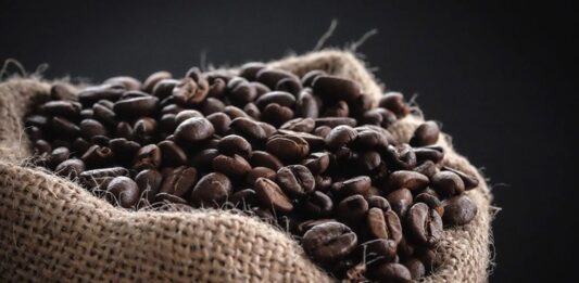 Dünyada en çok tüketilen içeceklerden biri olan Kahve, hem kültürel hem de sosyal açıdan önemli bir yere sahiptir. Tropikal iklimlerde yetişen kahve ağacının meyve çekirdeklerinden elde edilen bu içecek, yüzyıllardır farklı coğrafyalarda keyifle tüketilmektedir. Bilimsel olarak en yaygın türleri Coffea arabica ve Coffea canephora olan kahve bitkisi, özellikle Afrika kökenlidir ve zamanla tüm dünyaya yayılmıştır. Konulu bir haber görseli.