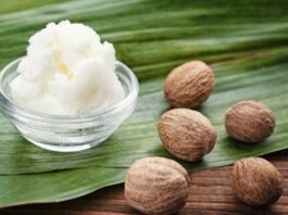 Karite Nedir? Karite’nin Faydaları Nelerdir? Son yıllarda doğal içerikli kozmetik ürünlerine olan ilginin artmasıyla birlikte Karite yağı ve yağına dayalı ürünler daha fazla dikkat çekmeye başladı. Afrika kökenli bu değerli bitkisel yağ, özellikle cilt ve saç bakımında sunduğu potansiyel faydalar sayesinde dünya genelinde yaygın olarak kullanılmaktadır. Halk arasında shea butter olarak da bilinen bu ürün, yoğun nemlendirici özelliğiyle öne çıkar. Konulu bir haber görseli.