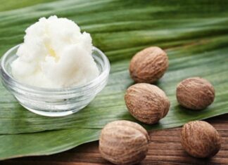 Karite Nedir? Karite’nin Faydaları Nelerdir? Son yıllarda doğal içerikli kozmetik ürünlerine olan ilginin artmasıyla birlikte Karite yağı ve yağına dayalı ürünler daha fazla dikkat çekmeye başladı. Afrika kökenli bu değerli bitkisel yağ, özellikle cilt ve saç bakımında sunduğu potansiyel faydalar sayesinde dünya genelinde yaygın olarak kullanılmaktadır. Halk arasında shea butter olarak da bilinen bu ürün, yoğun nemlendirici özelliğiyle öne çıkar. Konulu bir haber görseli.