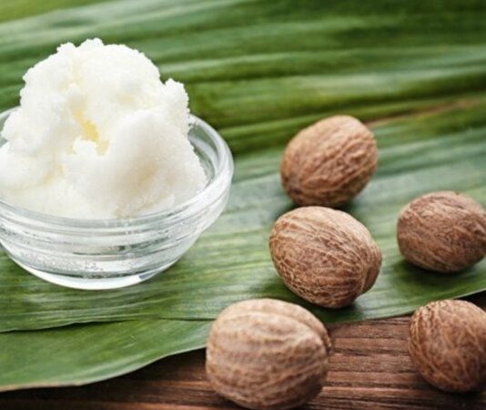 Son yıllarda doğal içerikli kozmetik ürünlerine olan ilginin artmasıyla birlikte Karite yağı ve yağına dayalı ürünler daha fazla dikkat çekmeye başladı. Afrika kökenli bu değerli bitkisel yağ, özellikle cilt ve saç bakımında sunduğu potansiyel faydalar sayesinde dünya genelinde yaygın olarak kullanılmaktadır. Halk arasında shea butter olarak da bilinen bu ürün, yoğun nemlendirici özelliğiyle öne çıkar. Konulu bir haber görseli.