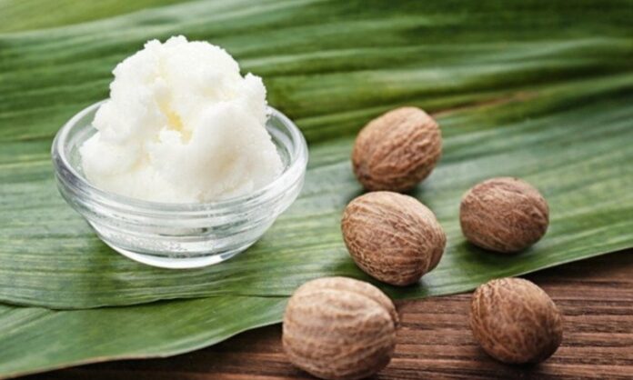 Son yıllarda doğal içerikli kozmetik ürünlerine olan ilginin artmasıyla birlikte Karite yağı ve yağına dayalı ürünler daha fazla dikkat çekmeye başladı. Afrika kökenli bu değerli bitkisel yağ, özellikle cilt ve saç bakımında sunduğu potansiyel faydalar sayesinde dünya genelinde yaygın olarak kullanılmaktadır. Halk arasında shea butter olarak da bilinen bu ürün, yoğun nemlendirici özelliğiyle öne çıkar. Konulu bir haber görseli.