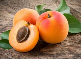 Kayısı, yaz aylarının en sevilen meyvelerinden biri olarak hem lezzeti hem de sağlık üzerindeki olumlu etkileriyle öne çıkar. Bilimsel adı Prunus armeniaca olan kayısı, gülgiller familyasına ait bir meyvedir ve özellikle Anadolu coğrafyasında yüzyıllardır yetiştirilmektedir. Turuncu rengi, yumuşak dokusu ve kendine has aromasıyla dikkat çeken bu meyve, taze ve kuru formda tüketilebilmesi sayesinde dört mevsim sofralarda yer bulur. Konulu bir haber görseli.