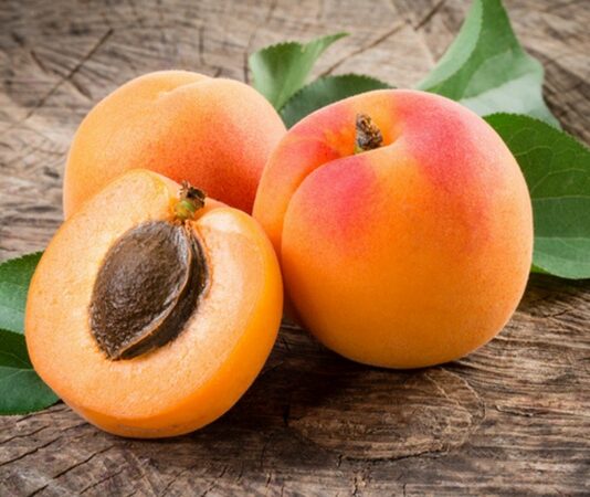 Kayısı, yaz aylarının en sevilen meyvelerinden biri olarak hem lezzeti hem de sağlık üzerindeki olumlu etkileriyle öne çıkar. Bilimsel adı Prunus armeniaca olan kayısı, gülgiller familyasına ait bir meyvedir ve özellikle Anadolu coğrafyasında yüzyıllardır yetiştirilmektedir. Turuncu rengi, yumuşak dokusu ve kendine has aromasıyla dikkat çeken bu meyve, taze ve kuru formda tüketilebilmesi sayesinde dört mevsim sofralarda yer bulur. Konulu bir haber görseli.