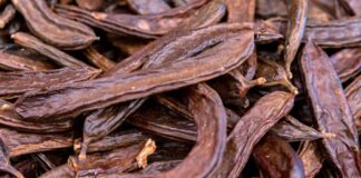 Akdeniz coğrafyasının en bilinen doğal ürünlerinden biri olan Keçiboynuzu, hem besleyici değeri hem de geleneksel kullanım alanlarıyla dikkat çeken bir meyvedir. Halk arasında “harnup” adıyla da bilinen bu besin, bilimsel olarak Ceratonia siliqua ağacının meyvesidir. Sıcak iklimleri seven bu ağaç, uzun ömürlü yapısı ve dayanıklılığı ile bilinir. Kahverengi, sert kabuklu ve tatlımsı aromaya sahip meyveleri hem taze hem de işlenmiş formlarda tüketilebilir. Konulu bir haber görseli.