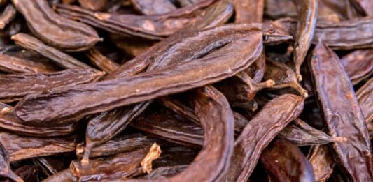 Akdeniz coğrafyasının en bilinen doğal ürünlerinden biri olan Keçiboynuzu, hem besleyici değeri hem de geleneksel kullanım alanlarıyla dikkat çeken bir meyvedir. Halk arasında “harnup” adıyla da bilinen bu besin, bilimsel olarak Ceratonia siliqua ağacının meyvesidir. Sıcak iklimleri seven bu ağaç, uzun ömürlü yapısı ve dayanıklılığı ile bilinir. Kahverengi, sert kabuklu ve tatlımsı aromaya sahip meyveleri hem taze hem de işlenmiş formlarda tüketilebilir. Konulu bir haber görseli.