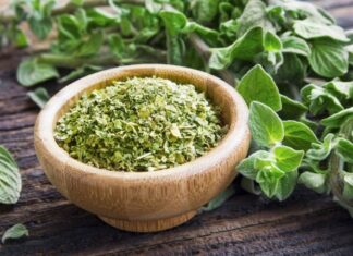 Doğal bitkiler arasında hem mutfakta hem de geleneksel sağlık uygulamalarında önemli bir yere sahip olan Kekik, yüzyıllardır kullanılan şifalı bitkilerden biridir. Özellikle Akdeniz mutfağının vazgeçilmez aromalarından biri olan bu bitki, aynı zamanda sağlık açısından sunduğu katkılarla da dikkat çeker. Peki, Kekik nedir ve neden bu kadar değerli görülmektedir?