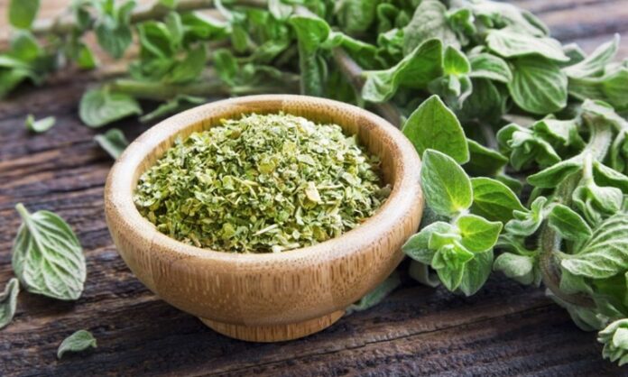 Doğal bitkiler arasında hem mutfakta hem de geleneksel sağlık uygulamalarında önemli bir yere sahip olan Kekik, yüzyıllardır kullanılan şifalı bitkilerden biridir. Özellikle Akdeniz mutfağının vazgeçilmez aromalarından biri olan bu bitki, aynı zamanda sağlık açısından sunduğu katkılarla da dikkat çeker. Peki, Kekik nedir ve neden bu kadar değerli görülmektedir?