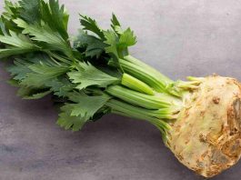 Kereviz, sağlıklı beslenme ve doğal şifa arayışında öne çıkan sebzelerden biridir. Hem sapları hem de kök kısmı mutfaklarda kullanılabilen bu bitki, farklı yemeklerde ve salatalarda lezzet katmak amacıyla tercih edilir. Kereviz, içerdiği vitamin ve mineraller sayesinde sadece tat olarak değil, aynı zamanda sağlık açısından da faydalıdır. Yapısında bulunan doğal bileşikler, vücudun çeşitli sistemlerini destekler ve günlük beslenmeye değerli katkılar sunar. Konulu bir haber görseli.