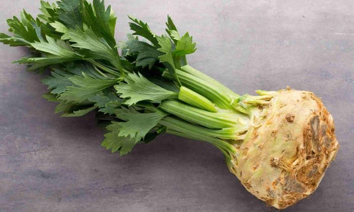 Kereviz Nedir Kereviz'in Faydaları Nelerdir Kereviz, sağlıklı beslenme ve doğal şifa arayışında öne çıkan sebzelerden biridir. Hem sapları hem de kök kısmı mutfaklarda kullanılabilen bu bitki, farklı yemeklerde ve salatalarda lezzet katmak amacıyla tercih edilir. Kereviz, içerdiği vitamin ve mineraller sayesinde sadece tat olarak değil, aynı zamanda sağlık açısından da faydalıdır. Yapısında bulunan doğal bileşikler, vücudun çeşitli sistemlerini destekler ve günlük beslenmeye değerli katkılar sunar. Konulu bir haber görseli.