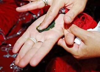 Doğal bitkisel ürünler arasında yüzyıllardır hem kozmetik hem de kültürel amaçlarla kullanılan Kına, özellikle saç ve cilt uygulamalarıyla bilinen bir bitkidir. Bilimsel adı Lawsonia inermis olan bu bitki, sıcak iklimlerde yetişen çalı formunda bir türdür. Yapraklarının kurutulup öğütülmesiyle elde edilen toz, suyla karıştırılarak macun haline getirilir ve farklı alanlarda kullanılır. Konulu bir haber görseli.