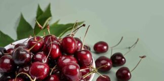 Kiraz Nedir? Kiraz’ın Faydaları Nelerdir? Yaz aylarının en sevilen ve en çok tüketilen meyvelerinden biri olan kiraz, hem lezzeti hem de sağlığa olan katkılarıyla dikkat çeker. Parlak kırmızı rengi, sulu yapısı ve tatlı aromasıyla sofralarda özel bir yere sahip olan kiraz, aynı zamanda besin değeri yüksek bir meyvedir. Bilimsel adı Prunus avium olan kiraz, gülgiller familyasına ait olup dünya genelinde yaygın olarak yetiştirilmektedir. Konulu bir haber görseli.