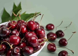 Yaz aylarının en sevilen ve en çok tüketilen meyvelerinden biri olan kiraz, hem lezzeti hem de sağlığa olan katkılarıyla dikkat çeker. Parlak kırmızı rengi, sulu yapısı ve tatlı aromasıyla sofralarda özel bir yere sahip olan kiraz, aynı zamanda besin değeri yüksek bir meyvedir. Bilimsel adı Prunus avium olan kiraz, gülgiller familyasına ait olup dünya genelinde yaygın olarak yetiştirilmektedir. Konulu bir haber görseli.