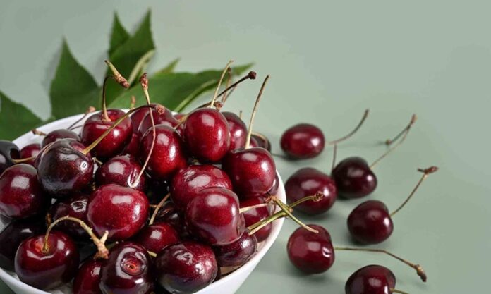 Yaz aylarının en sevilen ve en çok tüketilen meyvelerinden biri olan kiraz, hem lezzeti hem de sağlığa olan katkılarıyla dikkat çeker. Parlak kırmızı rengi, sulu yapısı ve tatlı aromasıyla sofralarda özel bir yere sahip olan kiraz, aynı zamanda besin değeri yüksek bir meyvedir. Bilimsel adı Prunus avium olan kiraz, gülgiller familyasına ait olup dünya genelinde yaygın olarak yetiştirilmektedir. Konulu bir haber görseli.