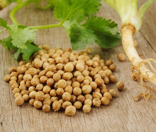 Mutfaklarda hem yaprak hem de tohum formuyla kullanılan Kişniş, aromatik yapısı ve kendine has kokusuyla dikkat çeken şifalı bitkiler arasında yer alır. Özellikle Akdeniz, Orta Doğu ve Asya mutfağında yaygın olarak kullanılan bu bitki, yemeklere verdiği ferah tatla öne çıkar. Son yıllarda sağlıklı yaşam trendlerinin artmasıyla birlikte Kişniş nedir ve ne işe yarar soruları daha sık gündeme gelmeye başlamıştır. Konulu bir haber görseli.