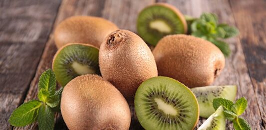 Son yıllarda sağlıklı beslenme listelerinde daha sık yer almaya başlayan kivi, hem lezzeti hem de zengin içeriğiyle dikkat çeken bir meyvedir. Dışı tüylü kahverengi kabukla kaplı olan, içi ise parlak yeşil ve siyah çekirdekli yapıya sahip olan kivi, ferahlatıcı aroması sayesinde özellikle kahvaltılarda ve ara öğünlerde tercih edilir. Tatlı ve hafif ekşi dengesiyle öne çıkan bu meyve, yalnızca damak zevkine değil sağlığa da katkı sunar. Konulu bir haber görseli.