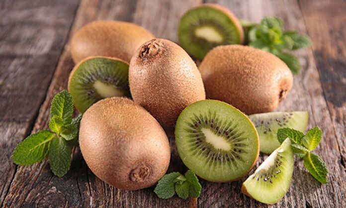 Son yıllarda sağlıklı beslenme listelerinde daha sık yer almaya başlayan kivi, hem lezzeti hem de zengin içeriğiyle dikkat çeken bir meyvedir. Dışı tüylü kahverengi kabukla kaplı olan, içi ise parlak yeşil ve siyah çekirdekli yapıya sahip olan kivi, ferahlatıcı aroması sayesinde özellikle kahvaltılarda ve ara öğünlerde tercih edilir. Tatlı ve hafif ekşi dengesiyle öne çıkan bu meyve, yalnızca damak zevkine değil sağlığa da katkı sunar. Konulu bir haber görseli.