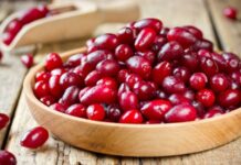 Doğal ve geleneksel meyveler arasında önemli bir yere sahip olan Kızılcık, özellikle yaz sonu ve sonbahar başında olgunlaşan, parlak kırmızı rengiyle dikkat çeken özel bir meyvedir. Ekşi ve ferahlatıcı tadıyla bilinen bu meyve, hem taze olarak tüketilir hem de şerbet, marmelat ve reçel yapımında kullanılır. Anadolu’da yüzyıllardır tüketilen kızılcık, sağlığa olan katkılarıyla da öne çıkar. Konulu bir haber görseli.