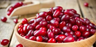 Doğal ve geleneksel meyveler arasında önemli bir yere sahip olan Kızılcık, özellikle yaz sonu ve sonbahar başında olgunlaşan, parlak kırmızı rengiyle dikkat çeken özel bir meyvedir. Ekşi ve ferahlatıcı tadıyla bilinen bu meyve, hem taze olarak tüketilir hem de şerbet, marmelat ve reçel yapımında kullanılır. Anadolu’da yüzyıllardır tüketilen kızılcık, sağlığa olan katkılarıyla da öne çıkar. Konulu bir haber görseli.