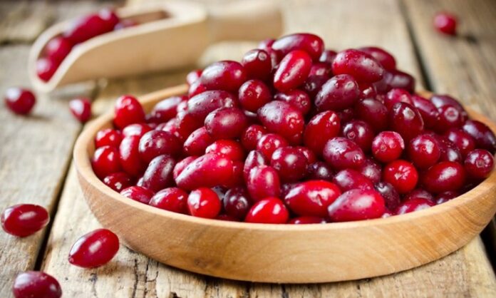 Doğal ve geleneksel meyveler arasında önemli bir yere sahip olan Kızılcık, özellikle yaz sonu ve sonbahar başında olgunlaşan, parlak kırmızı rengiyle dikkat çeken özel bir meyvedir. Ekşi ve ferahlatıcı tadıyla bilinen bu meyve, hem taze olarak tüketilir hem de şerbet, marmelat ve reçel yapımında kullanılır. Anadolu’da yüzyıllardır tüketilen kızılcık, sağlığa olan katkılarıyla da öne çıkar. Konulu bir haber görseli.