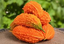 Kudret Narı Nedir? Kudret Narı’nın Faydaları Nelerdir? Doğal şifa ve geleneksel tıbbın önemli bitkilerinden biri olan Kudret Narı, özellikle sağlık destekleyici etkileri ile dikkat çeker. Tropikal iklimlerde yetişen bu bitki, hem yaprakları hem de meyveleri ile farklı kullanım alanlarına sahiptir. Kudret Narı, içerdiği doğal bileşenler sayesinde vücutta çeşitli faydalar sağlar ve hem besin takviyesi hem de şifa amacıyla kullanılabilir. Konulu bir haber görseli.