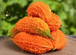 Doğal şifa ve geleneksel tıbbın önemli bitkilerinden biri olan Kudret Narı, özellikle sağlık destekleyici etkileri ile dikkat çeker. Tropikal iklimlerde yetişen bu bitki, hem yaprakları hem de meyveleri ile farklı kullanım alanlarına sahiptir. Kudret Narı, içerdiği doğal bileşenler sayesinde vücutta çeşitli faydalar sağlar ve hem besin takviyesi hem de şifa amacıyla kullanılabilir. Konulu bir haber görseli.