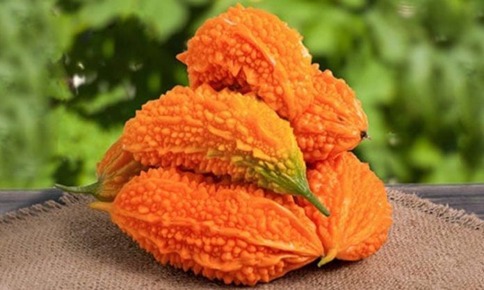 Kudret Narı Nedir Kudret Narı'nın Faydaları Nelerdir Doğal şifa ve geleneksel tıbbın önemli bitkilerinden biri olan Kudret Narı, özellikle sağlık destekleyici etkileri ile dikkat çeker. Tropikal iklimlerde yetişen bu bitki, hem yaprakları hem de meyveleri ile farklı kullanım alanlarına sahiptir. Kudret Narı, içerdiği doğal bileşenler sayesinde vücutta çeşitli faydalar sağlar ve hem besin takviyesi hem de şifa amacıyla kullanılabilir. Konulu bir haber görseli.