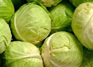 Lahana Nedir? Lahana’nın Faydaları Nelerdir? Kış aylarının vazgeçilmez sebzelerinden biri olan lahana, hem ekonomik hem de besleyici yapısıyla sofralarda sıkça yer bulur. Beyaz, mor ve kara lahana gibi farklı türleri bulunan lahana, çiğ olarak salatalarda kullanılabildiği gibi pişirilerek yemek, çorba ve sarmalarda da tercih edilir. Lifli dokusu ve düşük kalorili yapısı sayesinde sağlıklı beslenme planlarının önemli parçalarından biri haline gelmiştir. Konulu bir haber görseli.