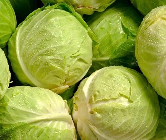 Kış aylarının vazgeçilmez sebzelerinden biri olan lahana, hem ekonomik hem de besleyici yapısıyla sofralarda sıkça yer bulur. Beyaz, mor ve kara lahana gibi farklı türleri bulunan lahana, çiğ olarak salatalarda kullanılabildiği gibi pişirilerek yemek, çorba ve sarmalarda da tercih edilir. Lifli dokusu ve düşük kalorili yapısı sayesinde sağlıklı beslenme planlarının önemli parçalarından biri haline gelmiştir. Konulu bir haber görseli.