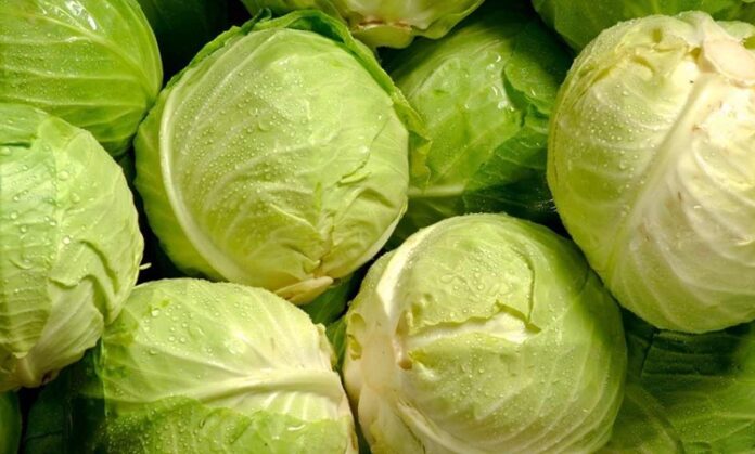 Lahana Nedir Lahana'nın Faydaları Nelerdir Kış aylarının vazgeçilmez sebzelerinden biri olan lahana, hem ekonomik hem de besleyici yapısıyla sofralarda sıkça yer bulur. Beyaz, mor ve kara lahana gibi farklı türleri bulunan lahana, çiğ olarak salatalarda kullanılabildiği gibi pişirilerek yemek, çorba ve sarmalarda da tercih edilir. Lifli dokusu ve düşük kalorili yapısı sayesinde sağlıklı beslenme planlarının önemli parçalarından biri haline gelmiştir. Konulu bir haber görseli.